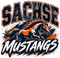 Sachse Mustang Horse Brush