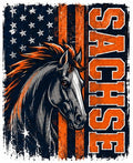 Patriotic Sachse Mustang