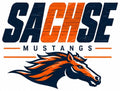 Sachse Mustang Horse
